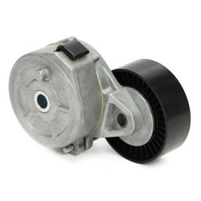 Acquista Rullo tenditore, cinghia poly-v da MASTER-SPORT online per 308 SW I Van / Station Wagon (4E_) a prezzi moderati
