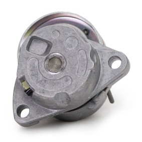 Compre Rolo tensor, correia trapezoidal estriada da MASTER-SPORT N35009-PCS-MS a um preço baixo por 45,12 €