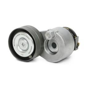 Comprar Polea tensora, correa poli V de MASTER-SPORT N36069-PCS-MS a bajo precio de 34,36 €