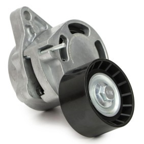 Comprar Polea tensora, correa poli V de MASTER-SPORT N36071-PCS-MS a bajo precio de 30,72 €