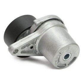 Comprar Polea inversión / guía, correa poli V de MASTER-SPORT N36136-PCS-MS a bajo precio de 30,80 €