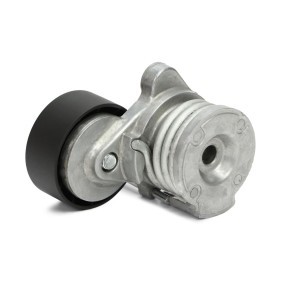 Comprar Polea tensora, correa poli V de MASTER-SPORT N38212-PCS-MS a bajo precio de 56,50 €