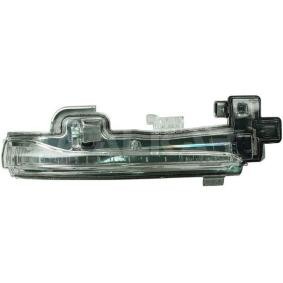 Blinker 6202598