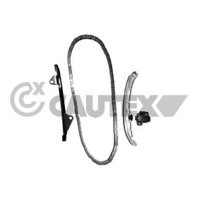 Steuerkettensatz 752028 für MINI