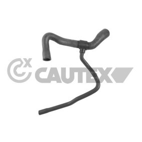 Acquista Flessibile radiatore da CAUTEX 753338 a buon mercato per soli 118,03 €