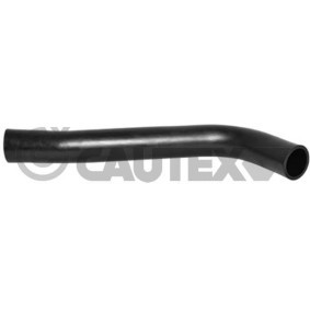 Acquista Flessibile radiatore da CAUTEX 753405 a buon mercato per soli 32,09 €