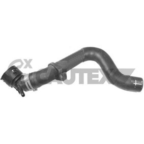 Compre Tubo flexível do radiador da CAUTEX 753574 a um preço baixo por 49,42 €