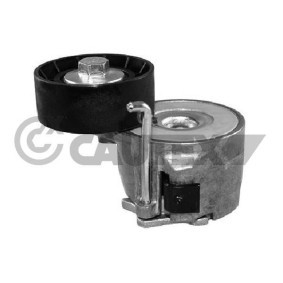 Compre Tensor de correia, correia trapezoidal estriada da CAUTEX 756831 a um preço baixo por 57,57 €