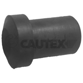 Lagerbuchse, Blattfeder von CAUTEX