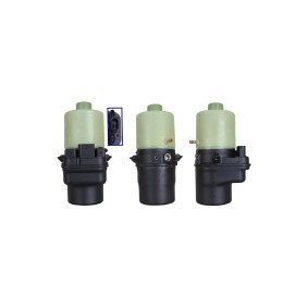 Osta Ohjaustehostimen pumppu DRI:llä 719521702 edullisesti hintaan 259,58 €