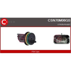 Lenkstockschalter CCS70392GS