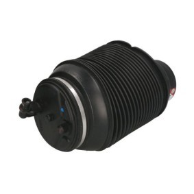 Comprar Muelle neumático, suspensión de Magnum Technology MZT001MT a bajo precio de 156,73 €