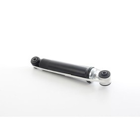 Steuerkettenspanner BSG 60-109-020