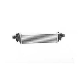 Kjøp Intercooler av BSG BSG 65-535-021 til den lave prisen 2320,10 NOK