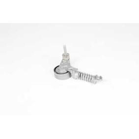 Compre Rolo tensor, correia trapezoidal estriada da BSG BSG 65-615-043 a um preço baixo por 75,62 €