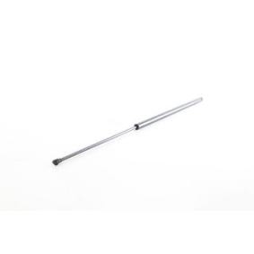 Achetez des Vérin de coffre BSG BSG 90-980-068 à prix pour 32,22 €