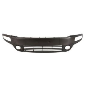 Acquista Mostrina, Paraurti da BLIC 6509-01-2019924P a buon mercato per soli 100,35 €
