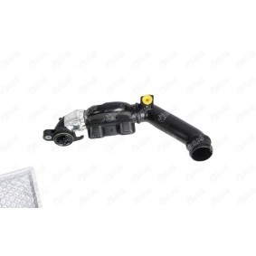Compre Tubo flexível do ar de sobrealimentação da IBRAS 17388 a um preço baixo por 37,59 €