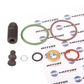 Comprar Kit de reparación, unidad bomba-inyector de DR.MOTOR AUTOMOTIVE DRM006L a bajo precio de 15,40 €