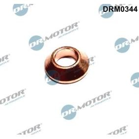 Schraube, Einspritzdüsenhalter DRM0344