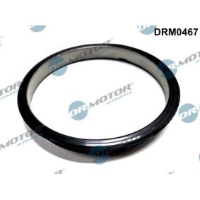 Dichtung, Unterdruckpumpe DRM0467