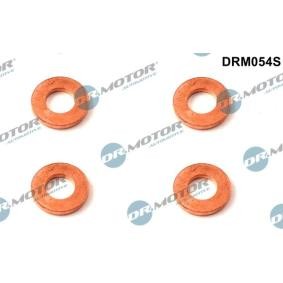 Wärmeschutzscheibe, Einspritzanlage DRM054S