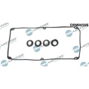 Steuergehäusedichtung DRM0655S