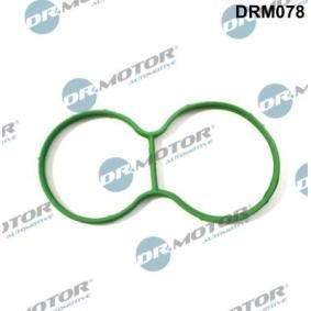 Abgaskrümmerdichtung von DR.MOTOR AUTOMOTIVE