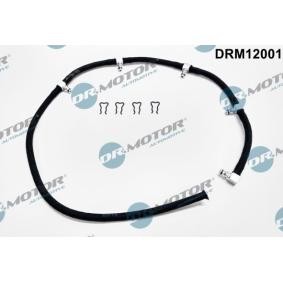 Schlauch, Leckkraftstoff von DR.MOTOR AUTOMOTIVE