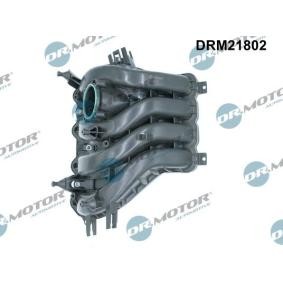 Ansaugbrücke DRM21802
