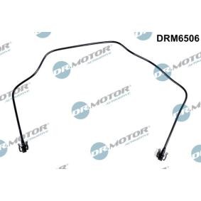 Compre Tubo de radiador de DR.MOTOR AUTOMOTIVE online para TRANSIT CONNECT Kombi a preços moderados