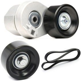 Achetez des Kit de courroie d'accessoire de chez RIDEX en ligne pour Transit Mk5 Minibus (V184, V185, FD , FB , FS , FZ , FC) à prix modérés