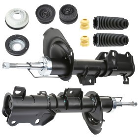 Stoßdämpfer-Set 1185S0030