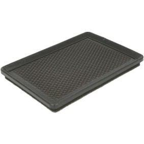 Luftfilter PP1509 für HYUNDAI