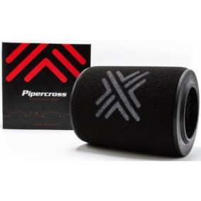 Luftfilter PX1999 für HYUNDAI
