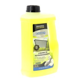 Achetez des Antigel Michelin 009215 à prix pour 14,46 €