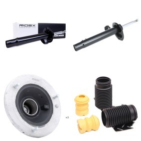 Stoßdämpfer-Set 1185S0044