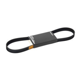 Compre Correia do alternador de RIDEX online para JUMPER Camião de plataforma/chassis (244) a preços moderados