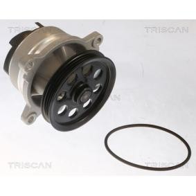 Wasserpumpe von TRISCAN