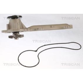 Achetez des Pompe à eau TRISCAN 8600 23085 à prix pour 51,13 €