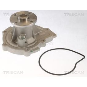 Achetez des Pompe à eau TRISCAN 8600 42022 à prix pour 75,83 €