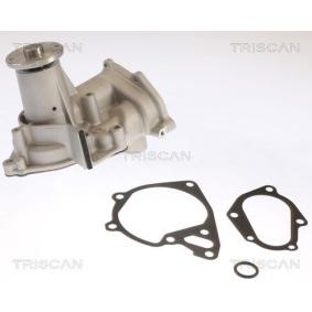 Achetez des Pompe à eau TRISCAN 8600 42023 à prix pour 89,55 €
