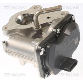 AGR-Ventil 8813 10116 für VAUXHALL