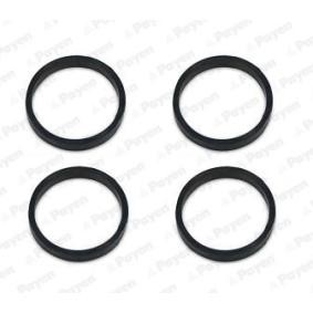 Comprar Junta, colector de admisión de PAYEN JD6160 a bajo precio de 3,07 €