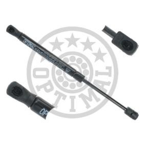 Motorhaubendämpfer AG-51547