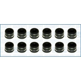 Dichtungssatz, Ventilschaft 57082500