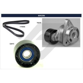 Achetez des Jeu de courroies trapézoïdales à nervures HUTCHINSON KHV 256 à prix pour 123,77 €