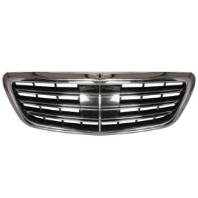 Kühlergrill 6502-07-3510990KP