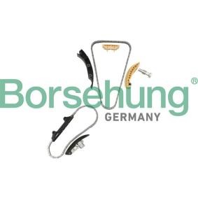 Steuerkettensatz von Borsehung