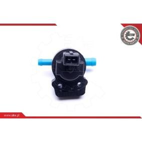 Ventil, Aktivkohlefilter 31SKV164